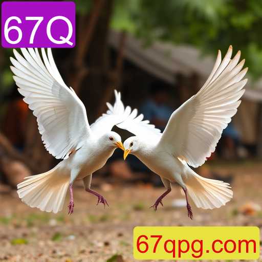 67Q